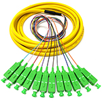 3 meter SC APC 12 Fiber Jacketed PVC Singlemode Fiber Optic Pigtail Kit Assembly