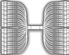 288 fiber cable assembly