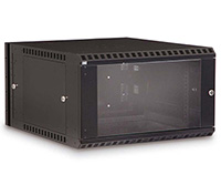 6U LINIER® Swing-Out Wall Mount Cabinet - Glass Door
