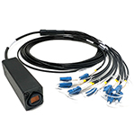 12 Fiber Broadcast Tactical Singlemode Neutrik OpticalCon MTP Breakout Box Cable Assembly with Waterproof Female IP65 Rated Inline MTP Coupler to 12 Simplex Connectors  - Made in the USA by QuickTreX®
