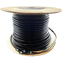 Custom Outdoor Armored Direct Burial MTP OM3 10-Gig Fiber Trunk Cables