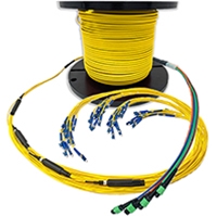MTP Singlemode Indoor Fanout Cable
