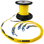 36 Strand Indoor Plenum Rated Singlemode Pre-Terminated Fiber Optic Micro-Distribution Cable Assembly with Corning® Glass - Made in the USA by QuickTreX®