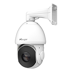 AI 42X Speed Dome Network Camera 2MP