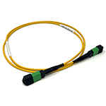 Stock 1 Meter 24 Fiber (1 X 24) MPO APC Female to MPO APC Female Singlemode OFNR Riser Rated Fiber Optic Patch Cable - Method A Straight Through