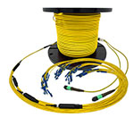 Custom Indoor 24 Fiber MTP® Singlemode APC Fanout Assembly (2 x 12 MTP to 24 Simplex Connectors) - Plenum Rated - made in USA by QuickTreX® with Genuine US Conec® Connectors and Corning® Glass