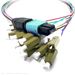 Closeup of Uncapped Male MPO Male and LC Connectors