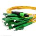 Close Up of Female MPO Connector
