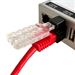 RJ45 Port Locking Clips with Key for Securing RJ45 Ethernet Patch Cables to Ethernet Network Switches, Media Converters, Keystone Jacks, Computers, and More - 10 Pack with 1 Key