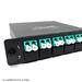 MTP® 12 Fiber (1 X 12 MTP Male) to 12 LC (6 Duplex Adapters) Multimode OM3 Low Loss LGX Cassette with Genuine US Conec® Connector by QuickTreX®