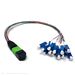 Stock 13.80 Inch (35 cm) 12 Fiber 1 X 12 MPO APC Male to 12 X LC UPC Simplex Singlemode OFNR Riser Rated Fiber Optic Fanout Cable Assembly - Method A Straight Through - 0.09mm Furcation